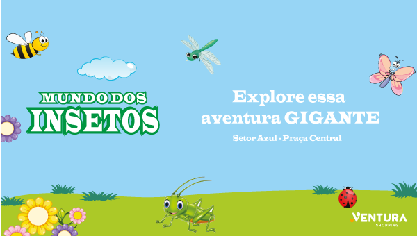 Jogo da Memória com Insectos