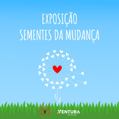 🌱 Exposição Sementes da Mudança 🌱